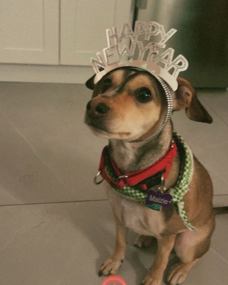 Willa Tellekson-Flash tweet media