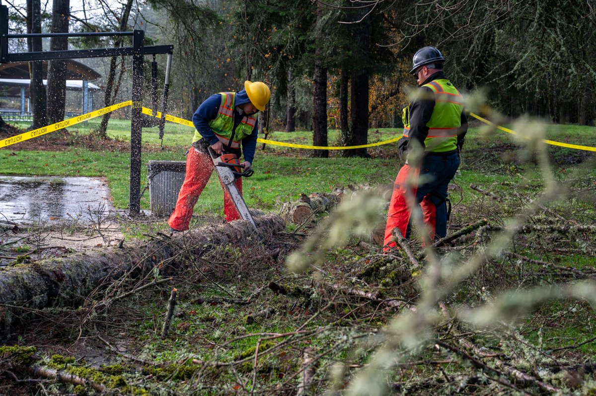 City of Springfield, Oregon tweet media