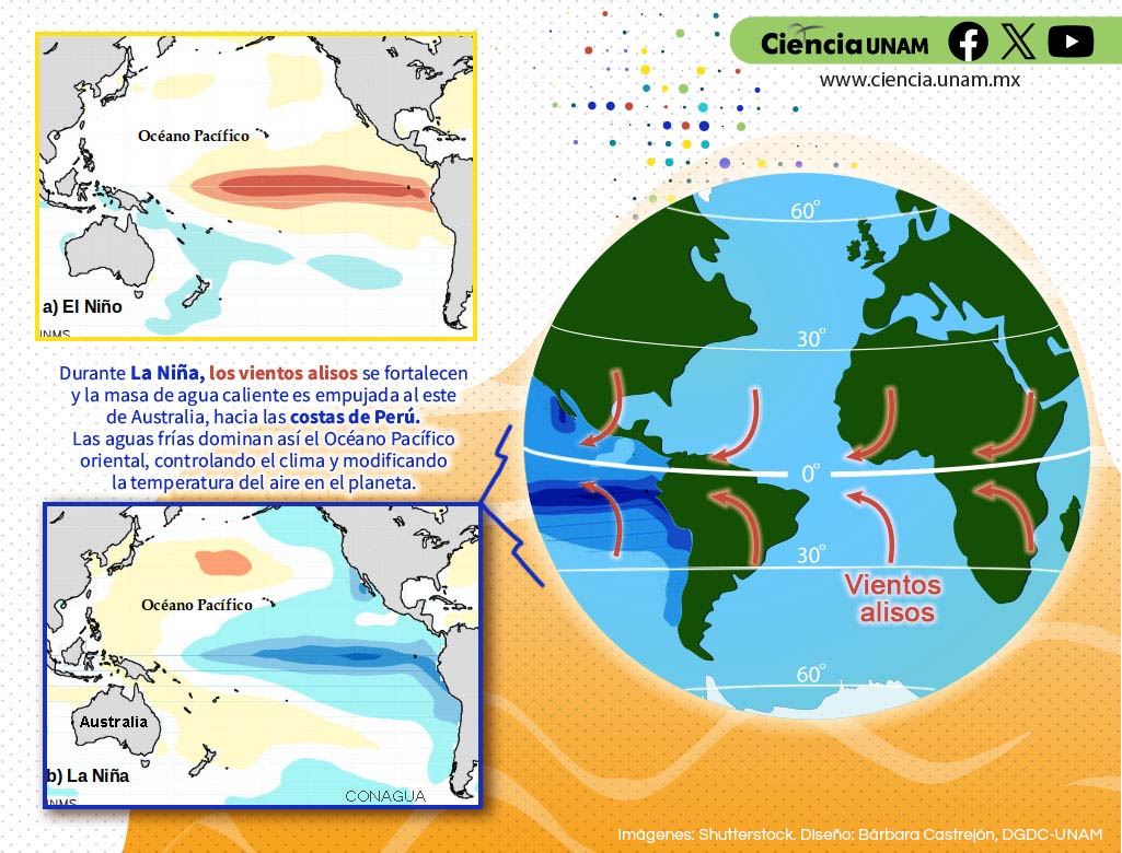 Ciencia_UNAM's tweet image. #AmbienteyNaturaleza | ¿Por qué enfrentamos cambios tan extremos de #clima? #Huracanes que se forman rápido y con gran fuerza, #sequías extremas y otros fenómenos climatológicos que alteran el clima de todo el mundo.
Acá te contamos más: cutt.ly/KwEaHCT5