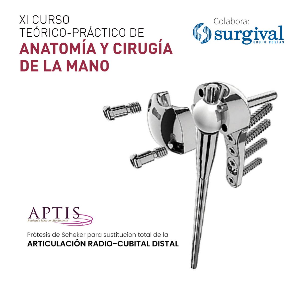 🤔💭 Imagina...
➡️ Te proponen hacer una travesía por el océano ⛴️
➡️ ... recorriendo islas repletas de tesoros 🏝️
➡️ ... en una expedición guiada por experimentados capitanes 😎 

¿Lo harías?
👉 Entonces... ¡no te puedes perder este CURSO! 😜