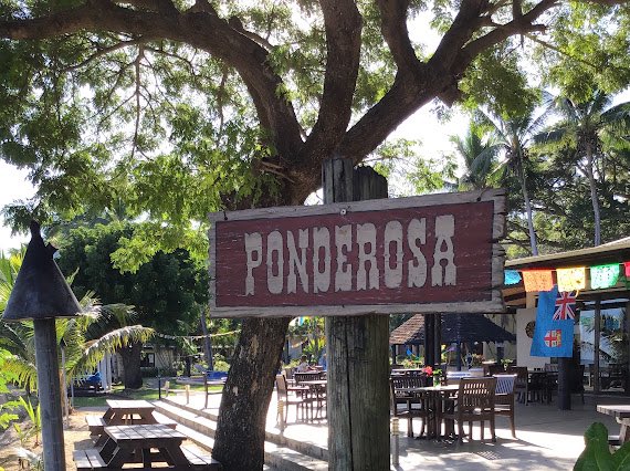 Kaleb Gebrewold tweet media