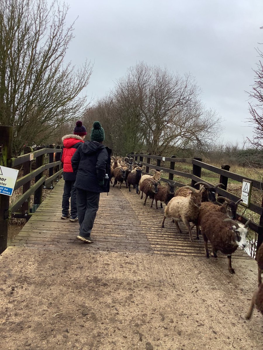 Pineham Barns tweet media