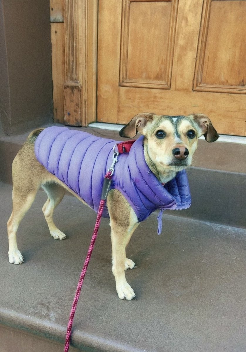 Willa Tellekson-Flash tweet media