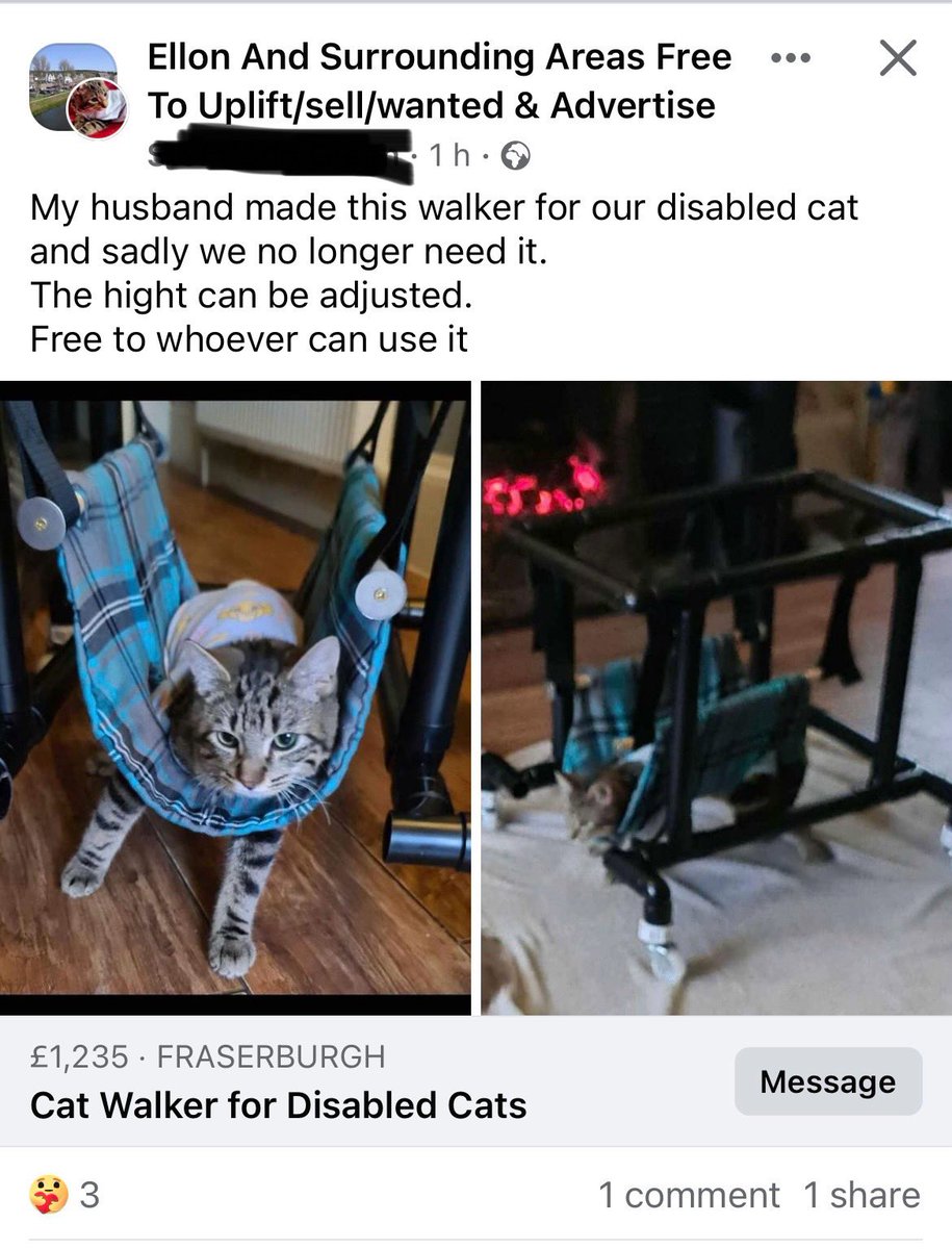 Wholesome Scottish content ❤️

#scottishtwitter #wholesomecontent #cats #catsofinstagram #aberdeenshire