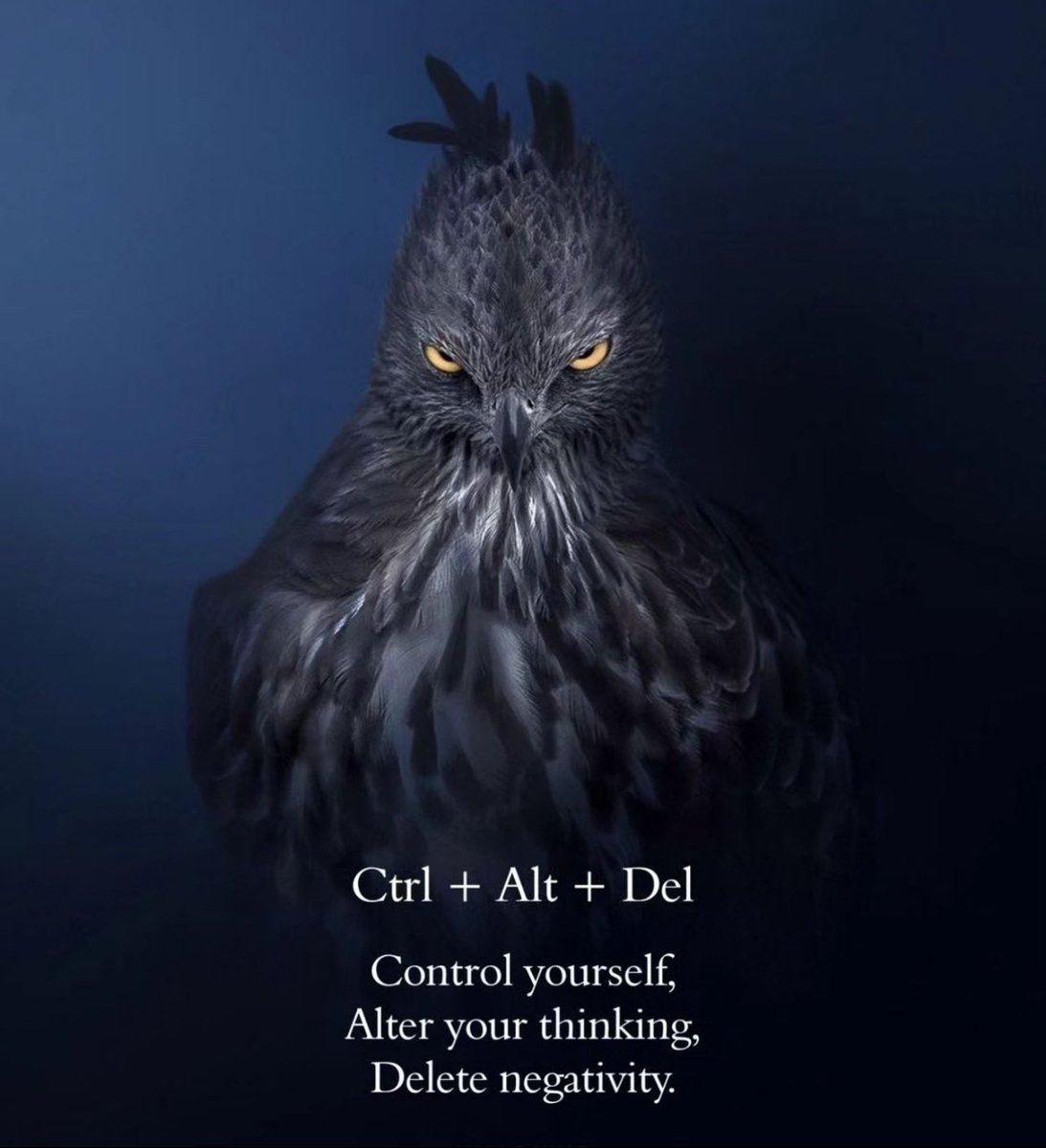 Ceni_Capital's tweet image. Master your mindset, reshape your thoughts, and hit delete on negativity. 🌟 Taking charge of yourself is the ultimate power. #PositivityWins #MindsetMatters