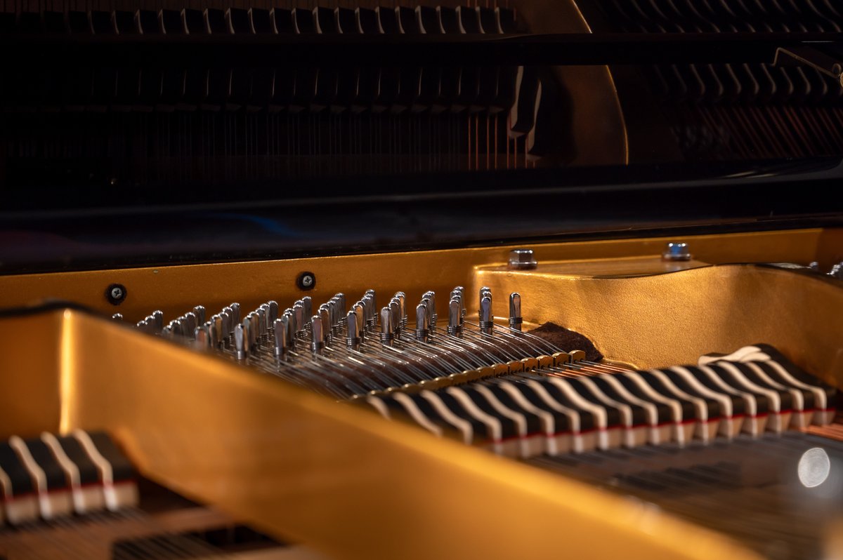 Piano_Warehouse's tweet photo. inside or out our pre owned pianos are beautiful https://t.co/MWqmQiB56p