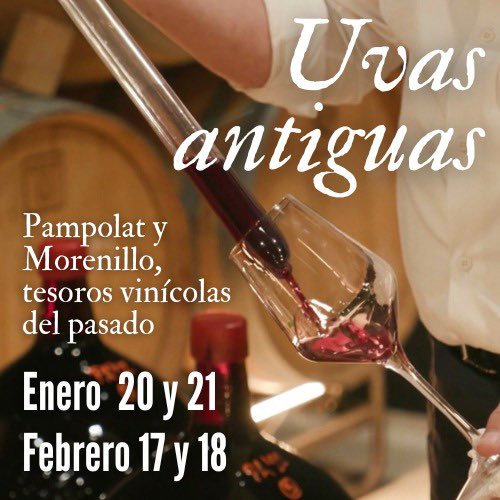 coopviver's tweet photo. 🍇🍷Descubre la historia del vino en Viver y cata en exclusiva las variedades de uvas autóctonas prefiloxéricas en esta singular experiencia de #enoturismo👉🏼https://t.co/ANdtOqqeI1 https://t.co/o9bvAm1PjC