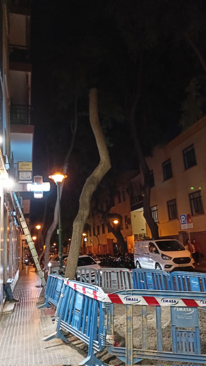 mromb11's tweet photo. @parquesyjardin @malaga @mambientemalaga Buenas noches, ¿saben algo de este tronco que según Emasa se movía, y solo cortaron ramas y parte de tronco superior? Gracias. Es en Avda de la Estación https://t.co/GGQMLESHpa