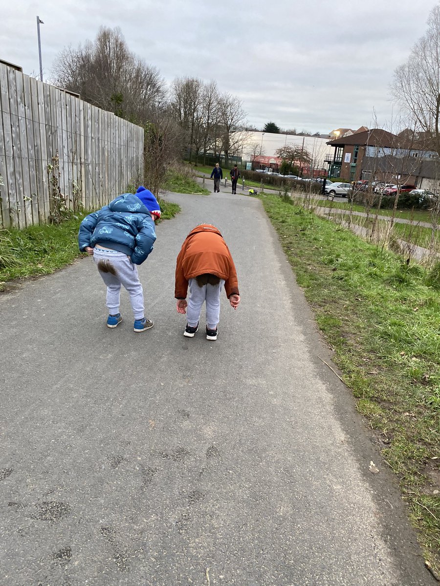 Fiona Cole tweet media