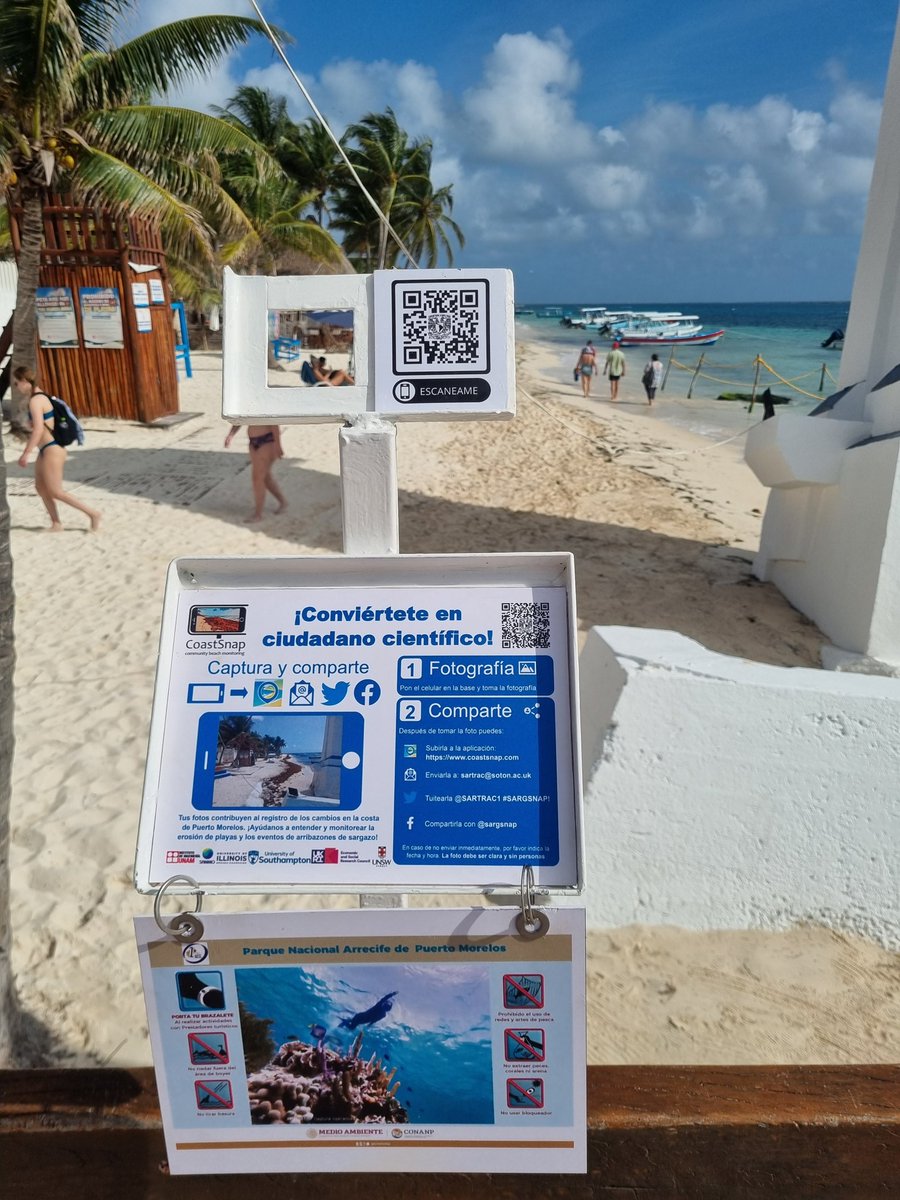 A new #CitizenScience station to take pictures of #sargassum in #PuertoMorelos #Mexico. @SARTRAC1 @UoSGeogEnv @LIPC_UNAM