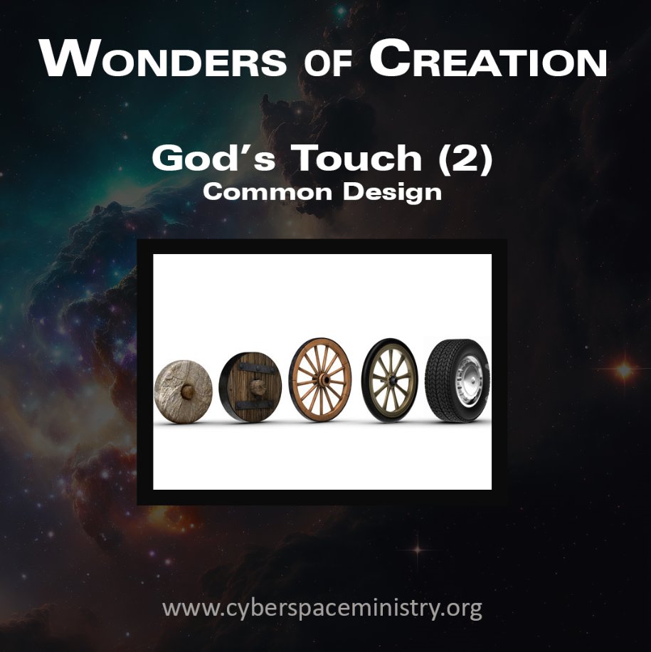 cyberministry's tweet image. Wonders of Creation
God&apos;s Touch (2 of 5)
COMMON DESIGN

Another important evidence for design that is a challenge for evolution. Read more here:
cyberspaceministry.org/Menu/eng/eng-c…

#creation #evolution #commondesign #God #thewordofgod #biblestudy #bibletruth