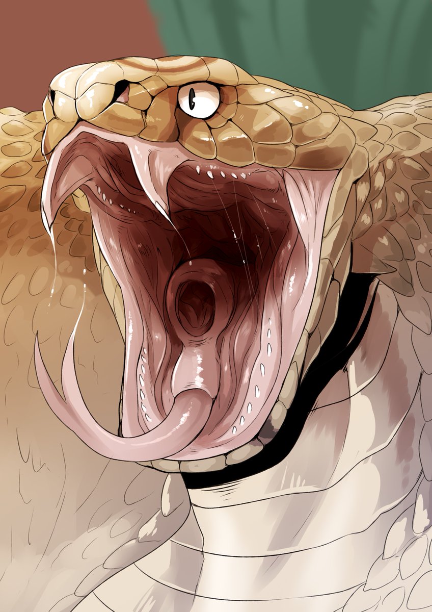 no humans open mouth tongue saliva snake solo black eyes  illustration images