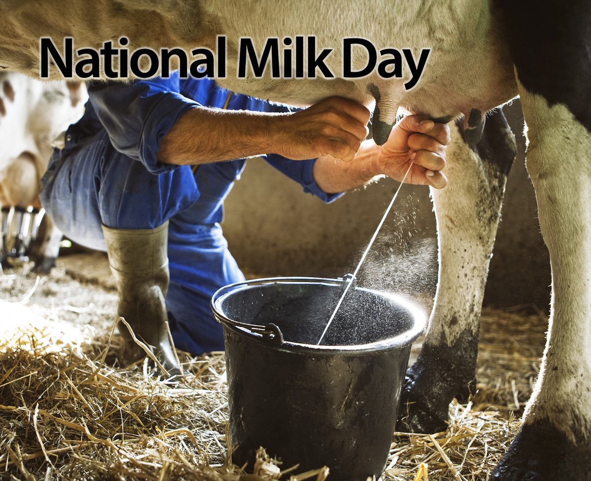 It's National Milk Day! 🥛 Milk wasn't always available at your local store. Today celebrates the first time milk was delivered to homes in sterilized glass bottles.