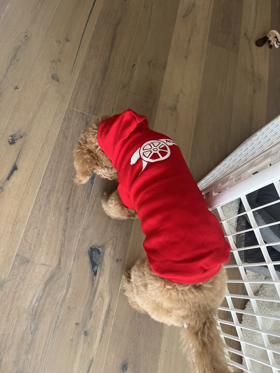 Once a gunner always a gunner! #arsenalfc