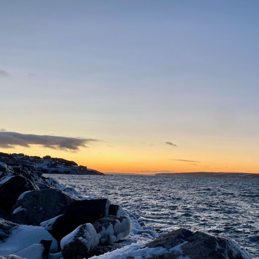 Right To Food tweet media