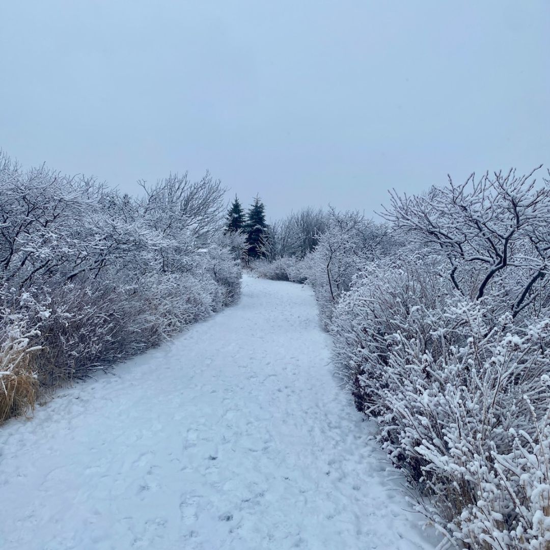 Right To Food tweet media