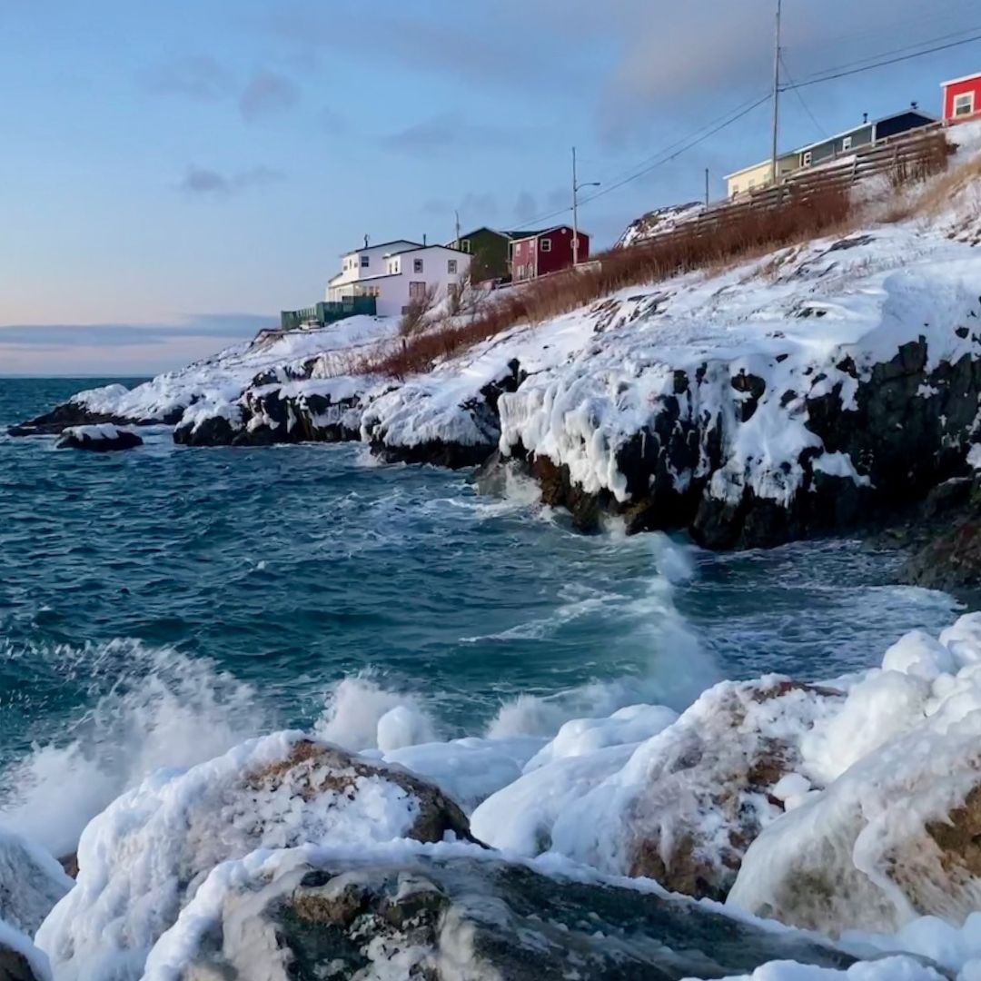 Right To Food tweet media