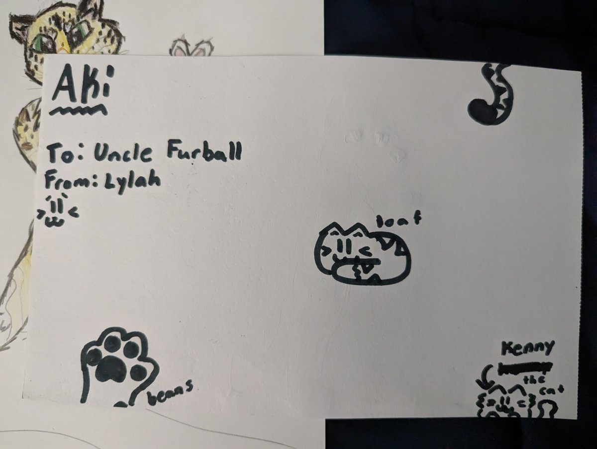 lilfurbal's tweet photo. It's just too much adorable.  My nieces drew me fan art, :D.  Also, Beans. https://t.co/S3jABzLDsD