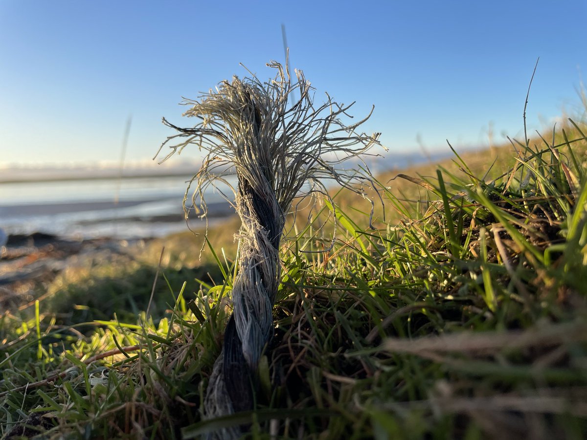 SuilanSpink's tweet photo. It is not until I #film in slow~motion that we see the #reality of #plastic #fishing / #industrial #shipping hear #ADLFG #disintegrating into #millions of #microplastics #nanoplastics too. #Dust as can be seen here. Our #Atmosphere @HugoSAS @ScotIslandsFed @mcsuk @ScotGovMarine https://t.co/Bm0PAepla7