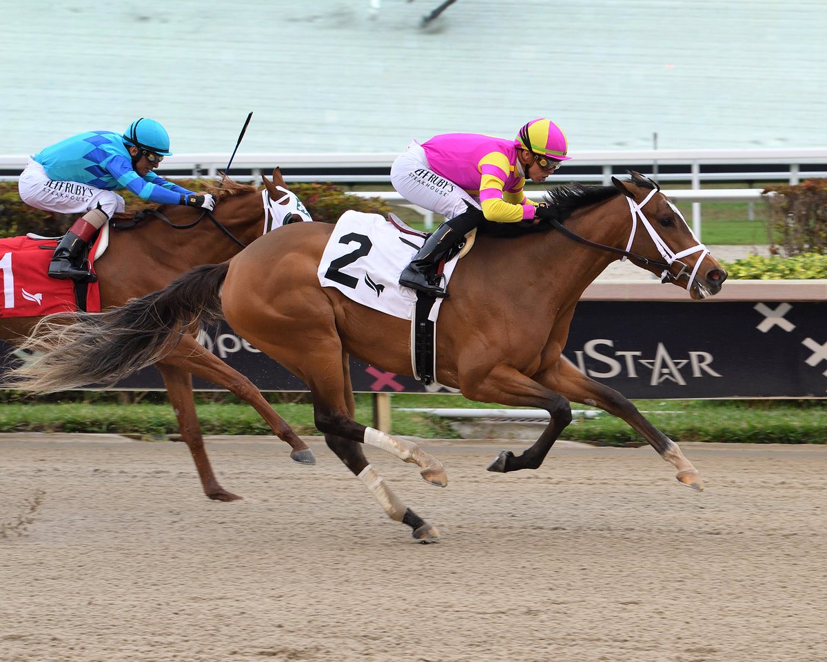 Leslie's Rose takes race 6, ridden by <a href="/iradortiz/">Iradortiz</a>, saddled by <a href="/PletcherRacing/">Todd Pletcher Racing Stables</a>, and owned by <a href="/whisper_hill/">Whisper Hill Farm</a>. #GulfstreamPark #ChampionshipMeet