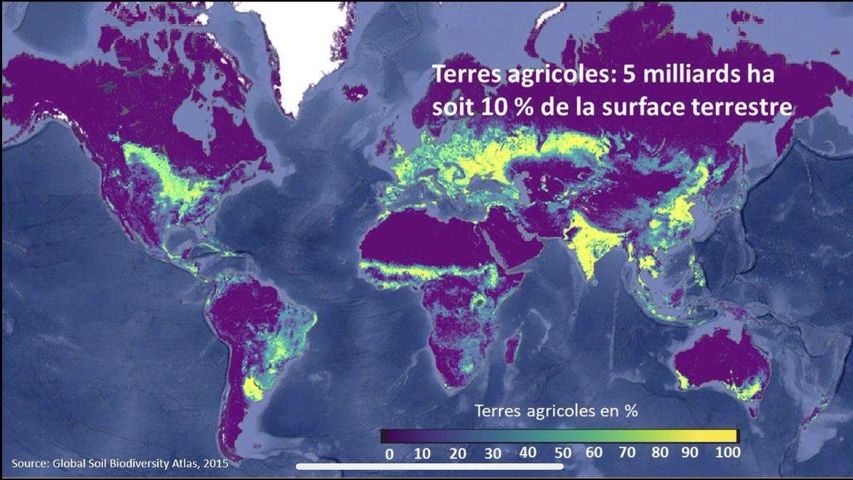 🔴 Le saviez-vous? : Les terres agricoles représentent dans le monde 5 milliards d'hectares, soit 10 % seulement de la surface terrestre globale. La productivité de nos agricultures est essentielle!
