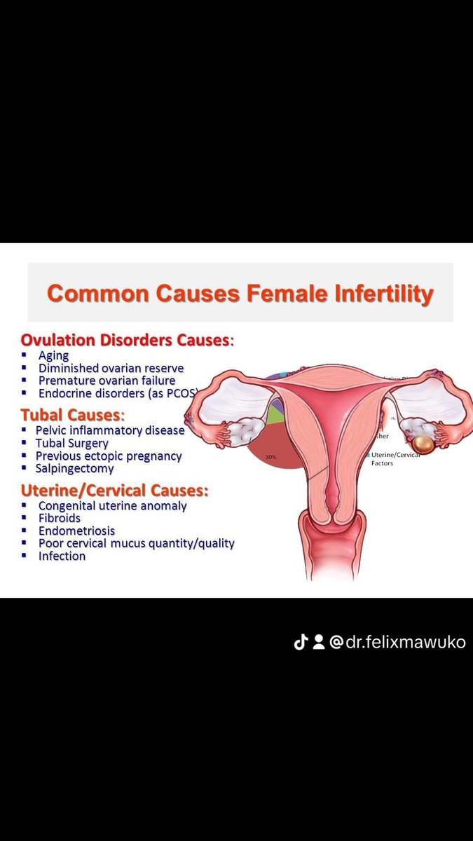 m_felixfavour's tweet photo. Causes of infertility https://t.co/RYxfdGG1Yq