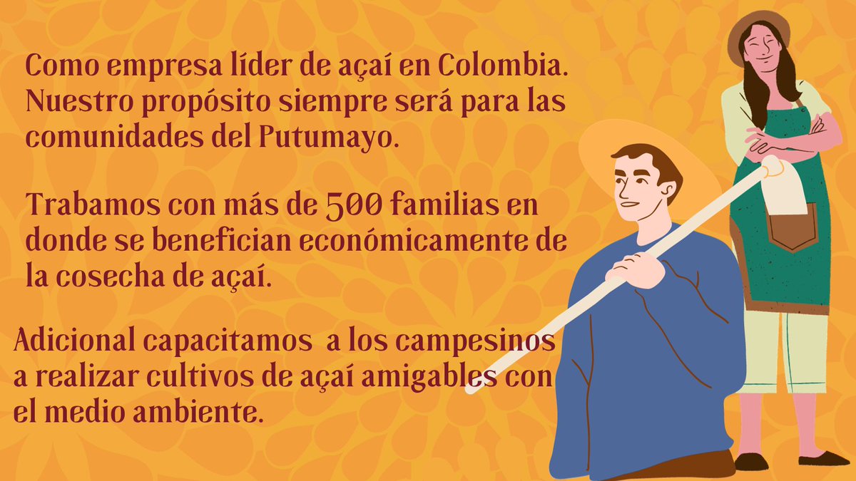 Nuestra misión como empresa líder en açaí y palmitos es fortalecer el trabajo con las comunidades y el medio ambiente. Desde hace más de 10 años mantenemos vínculos con familias campesinas ubicadas en Putumayo. 😍

¡Amamos trabajar con campesinos colombianos!