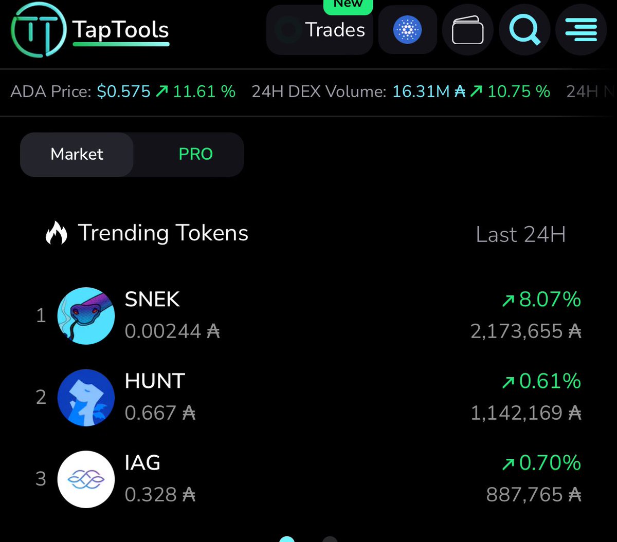 elmessican🐍 tweet media