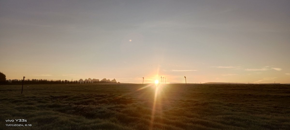 JRodrigud's tweet image. 