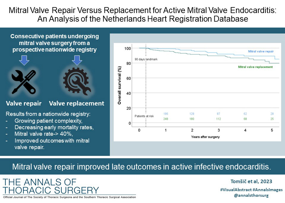 Tomšič, Palmen, and coauthors find that mitral valve repair improved late outcomes in active infective endocarditis. Read more at the link below. #VisualAbstract #AnnalsImages