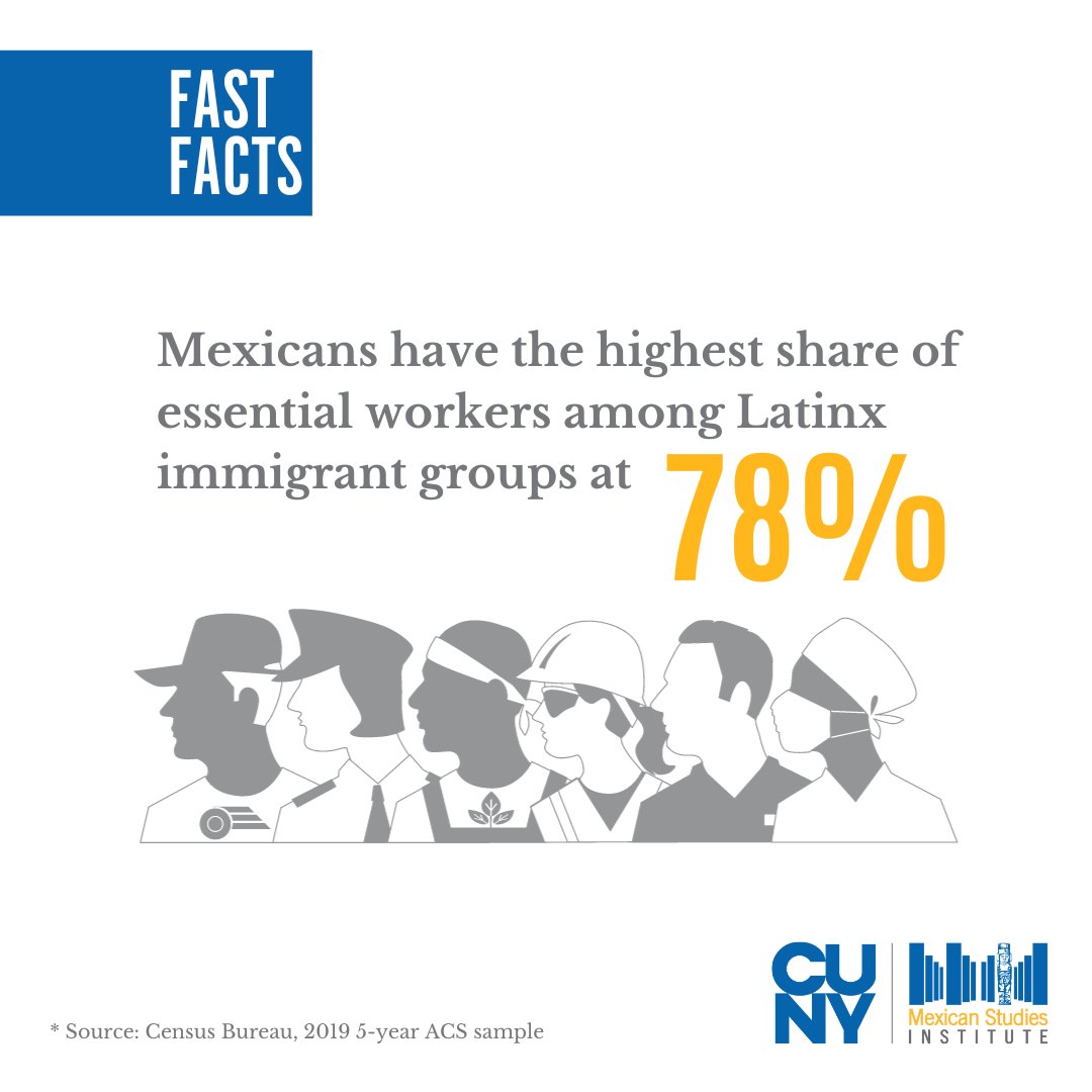 CUNY MSI FAST FACT: Mexicans have the highest share of essential workers among Latinx immigrant groups at 78%. *Source: Census Bureau, 2019 5-year ACS sample #cuny #msi #facts #research #data #immigrants #essentialworkers #mexicanimmigrants #latinxs #nyc #mexicanosennewyork