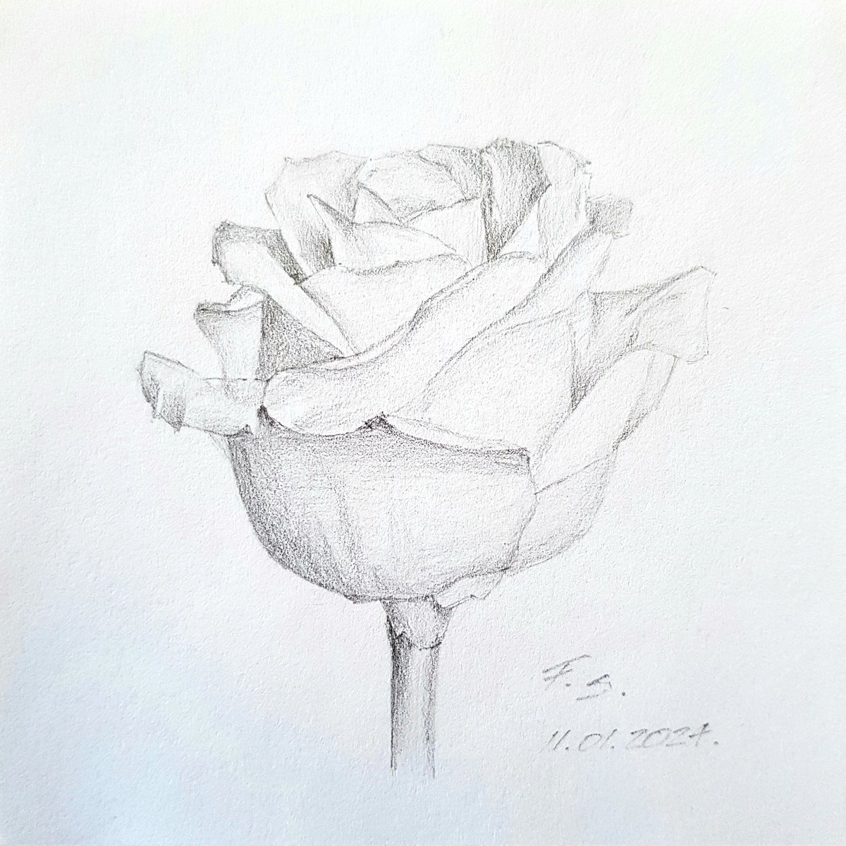 FilipSkomerzha's tweet photo. Ruža / Rose
Crikvenica, 11. siječnja 2024. 

tehnička olovka | 0,5 mm HB mina
mechanical pencil | 0.5 mm HB lead 

#SoliDeoGloria #Bog #cvijet #flower #priroda #nature #umjetnost #art #umjetnik #artist #sketch #drawing #olovka #pencil #mechanicalpencil #pencildrawing #pencilart https://t.co/BqHCfH3UJC