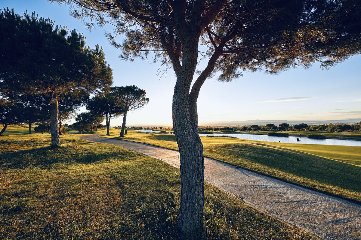 🤝🌲Cada año plantamos más de 50 pinos nuevos en el campo, con el objetivo de mejorar el paisaje y de contribuir a la #sostenibilidad, ya que estos árboles pueden absorber una gran cantidad de CO2. 👉En Retamares estamos implicados con la causa de la sostenibilidad. 🌍#golf