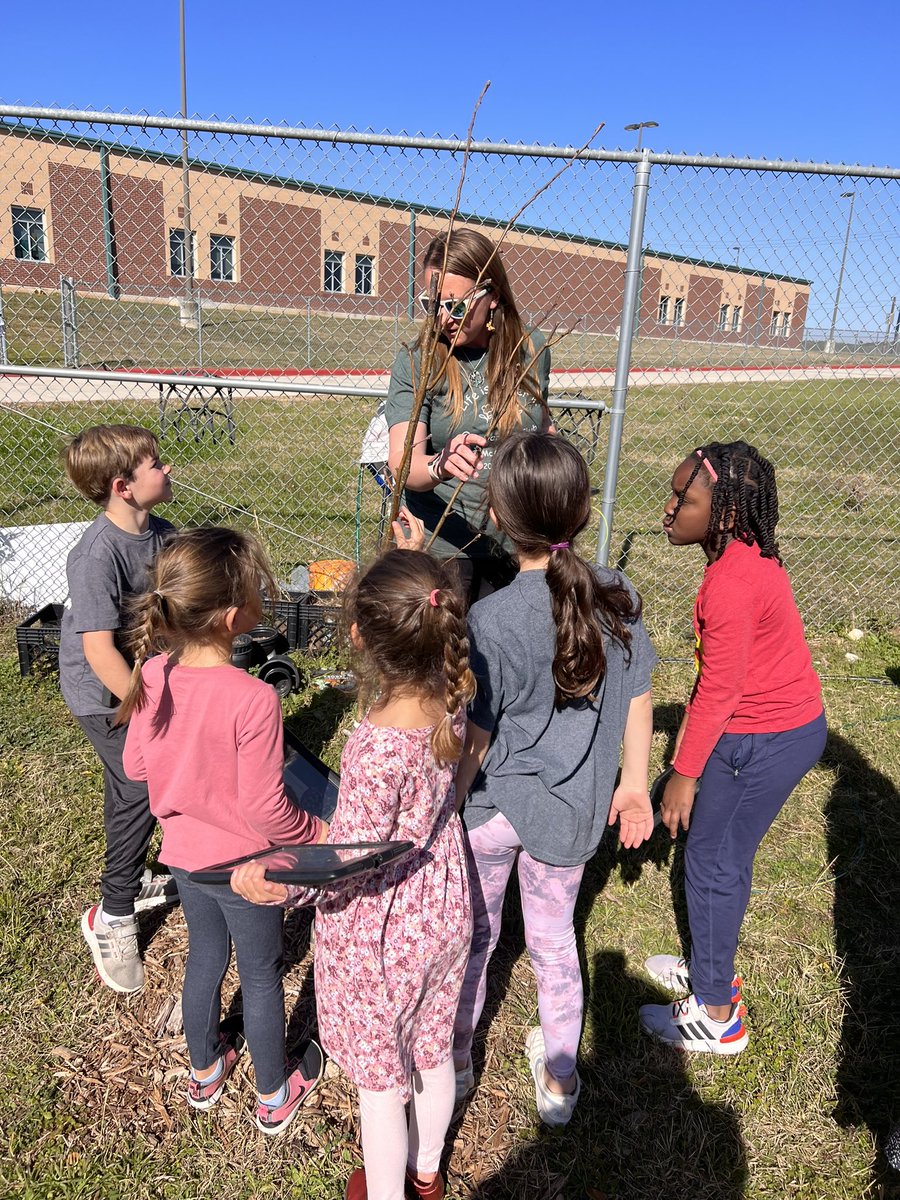 Our first grade students are having fun using technology to identify plants in our garden and meadow. ❤️ @NISDMcAndrew