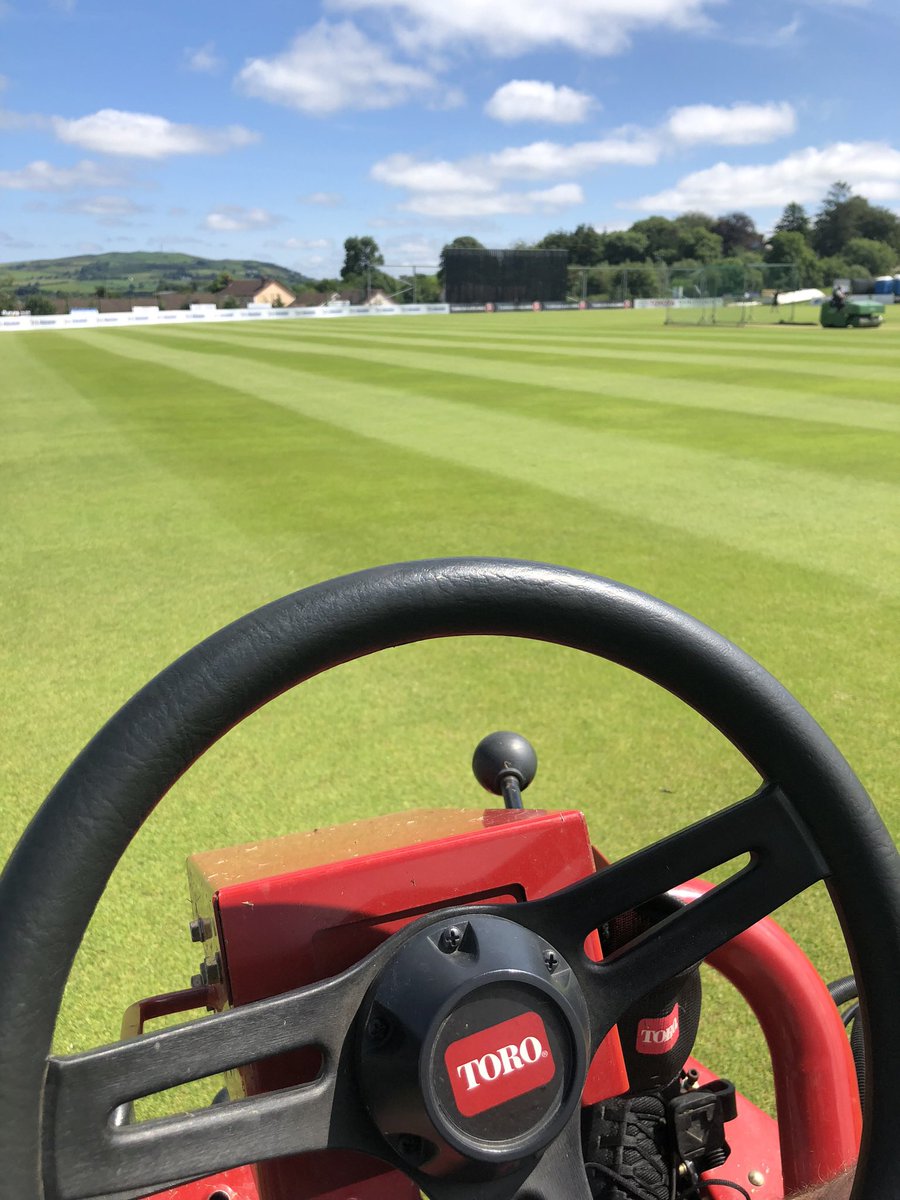 Trevor Hamilton tweet media