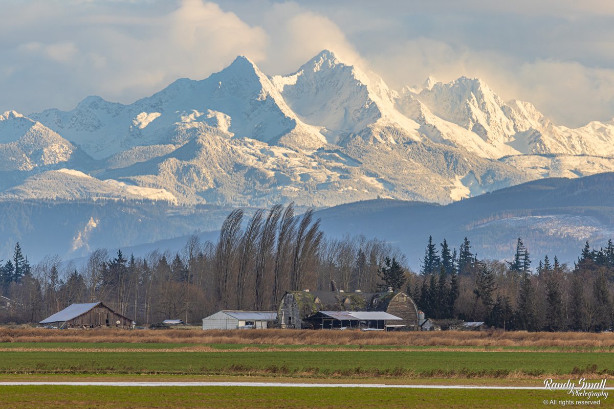 Today!! The Twin Sisters came out for just a short time and the sun hit them just right. 

Rathbone Road - Lynden, WA
#wawx #pnw