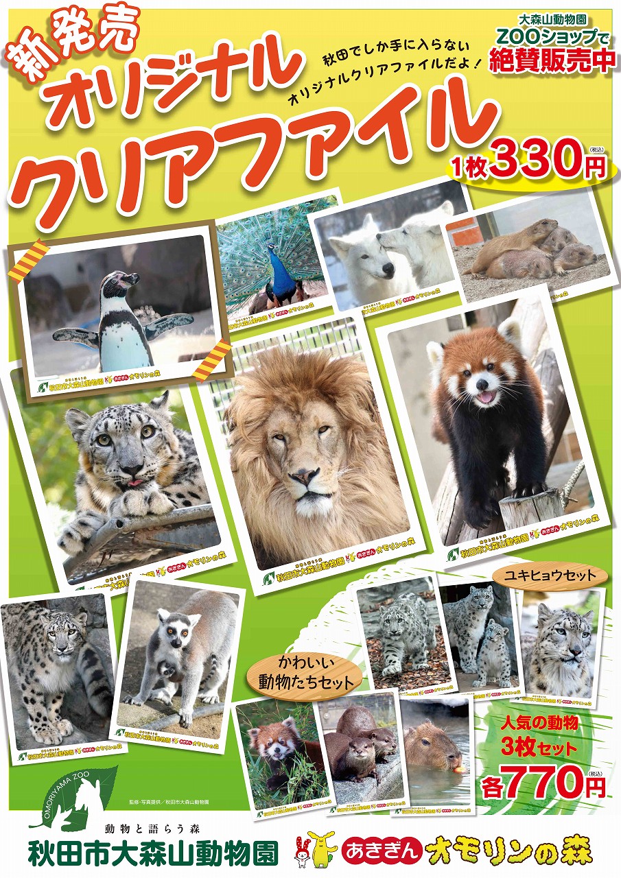 秋田市大森山動物園 on X: 