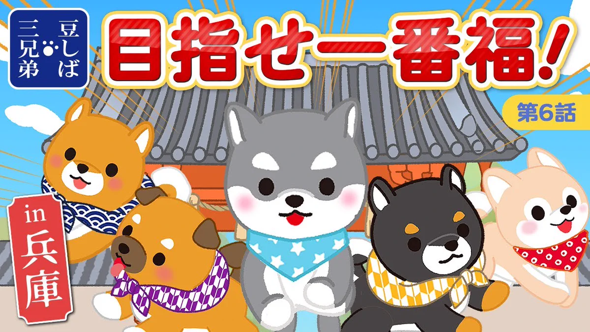 豆大福わんこ様♡専用ページ アミューズ AMUFUN【公式】 on X: 