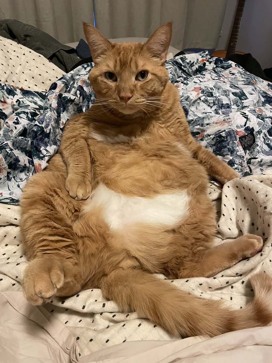 archietheorange's tweet photo. o …, hhey https://t.co/emNfaGf5lK