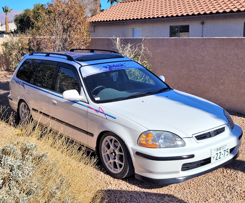 Legacy751's tweet photo. 🌞 #orthia https://t.co/QR3egeGldt