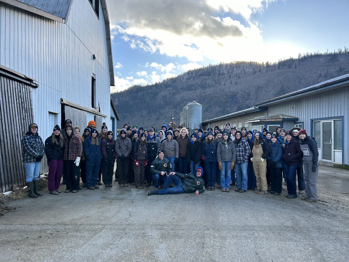 University of Guelph Dairy Science Club tweet media