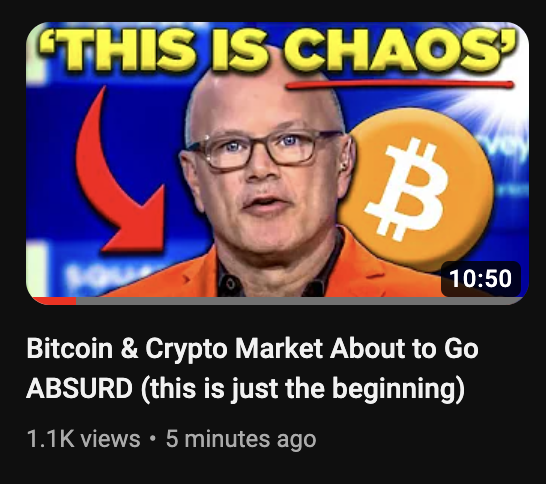 AltcoinDaily's tweet photo. New video just dropped!

Watch asap. #bitcoin #crypto https://t.co/Aal3nx3CdH