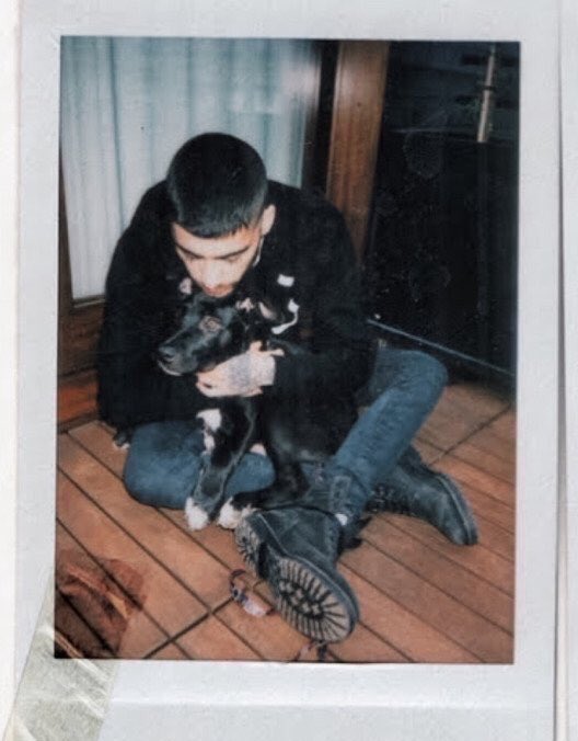 z (@zjmposts) on Twitter photo 