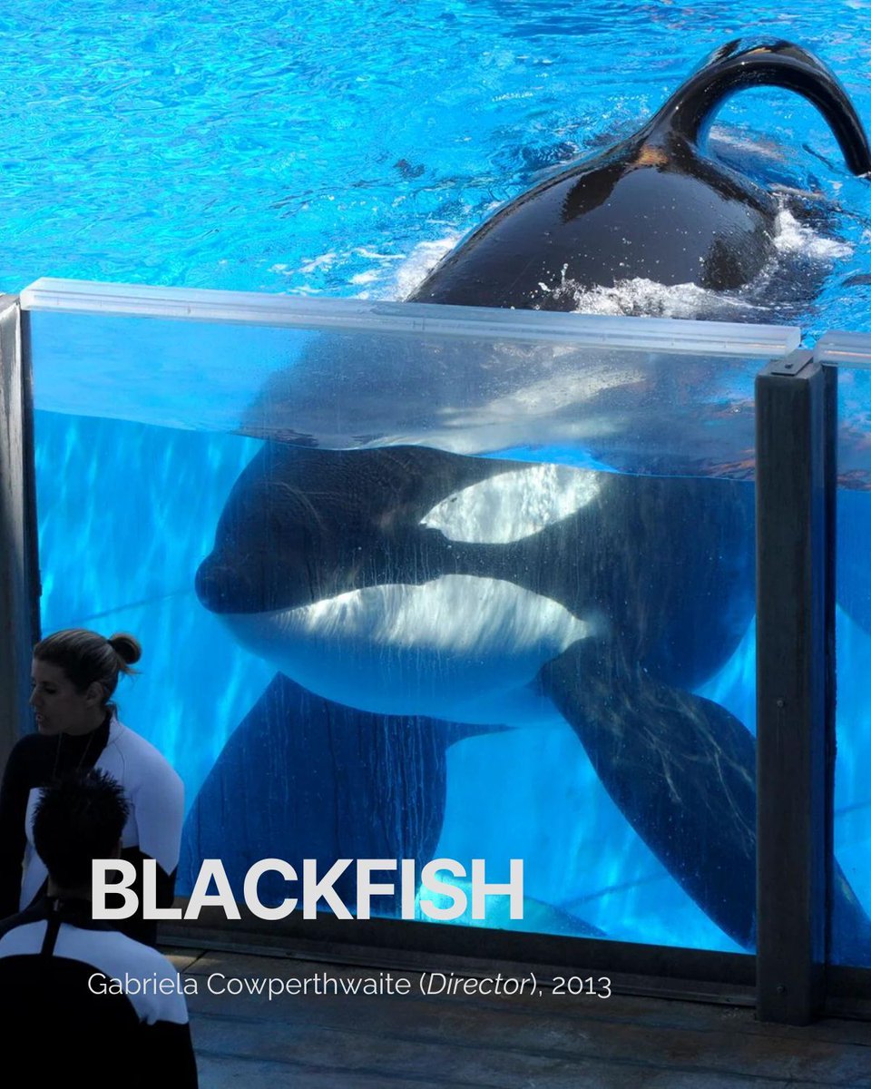 FanForce tweet media