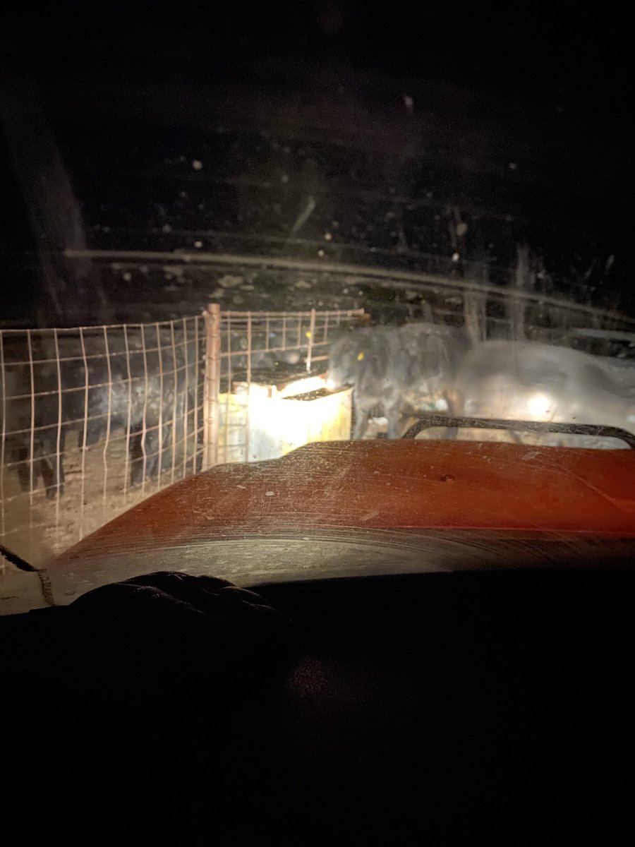 After an hour of messing around I finally realized the breaker was off at the pole.  Still thawed but it is going to get cold tonight. 

Giving it five minutes to see if it’s warm then heading home.