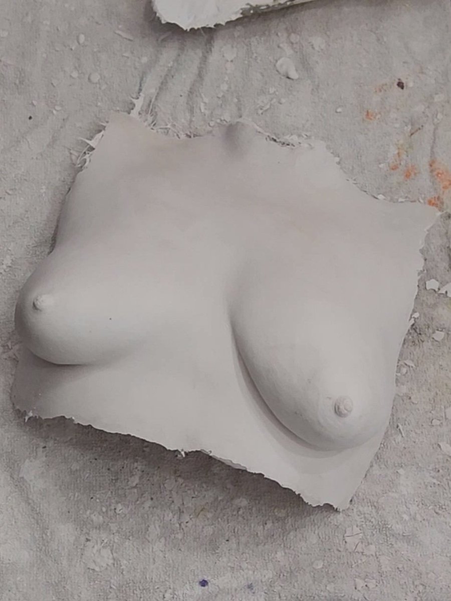a_bodycasting's tweet photo. A simple yet beautiful bust casting 💜 https://t.co/H0o8PToHp1