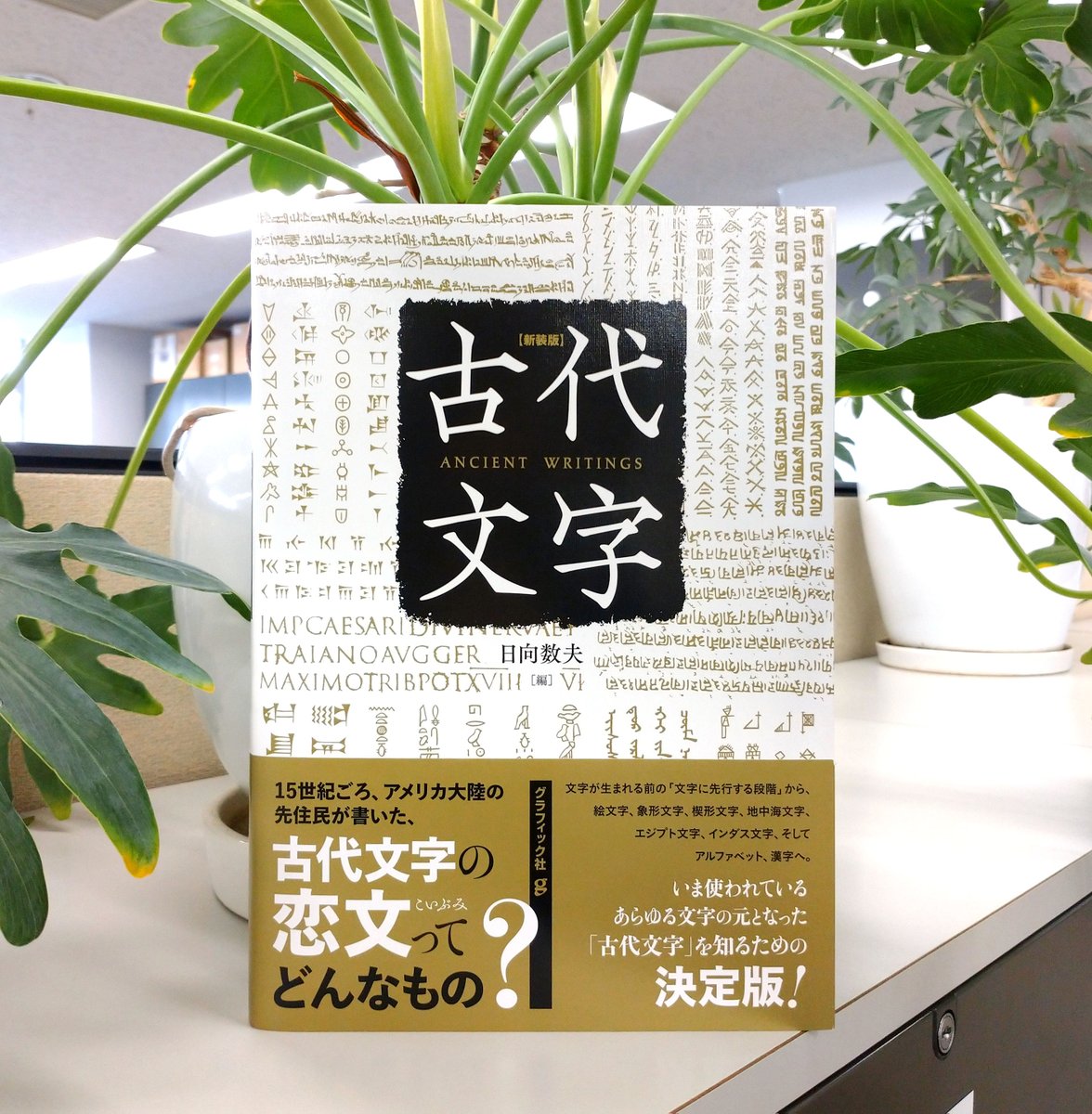 RT @tsudajunko: ＼重版出来／ 『新装版 古代文字』9年ぶりに重版