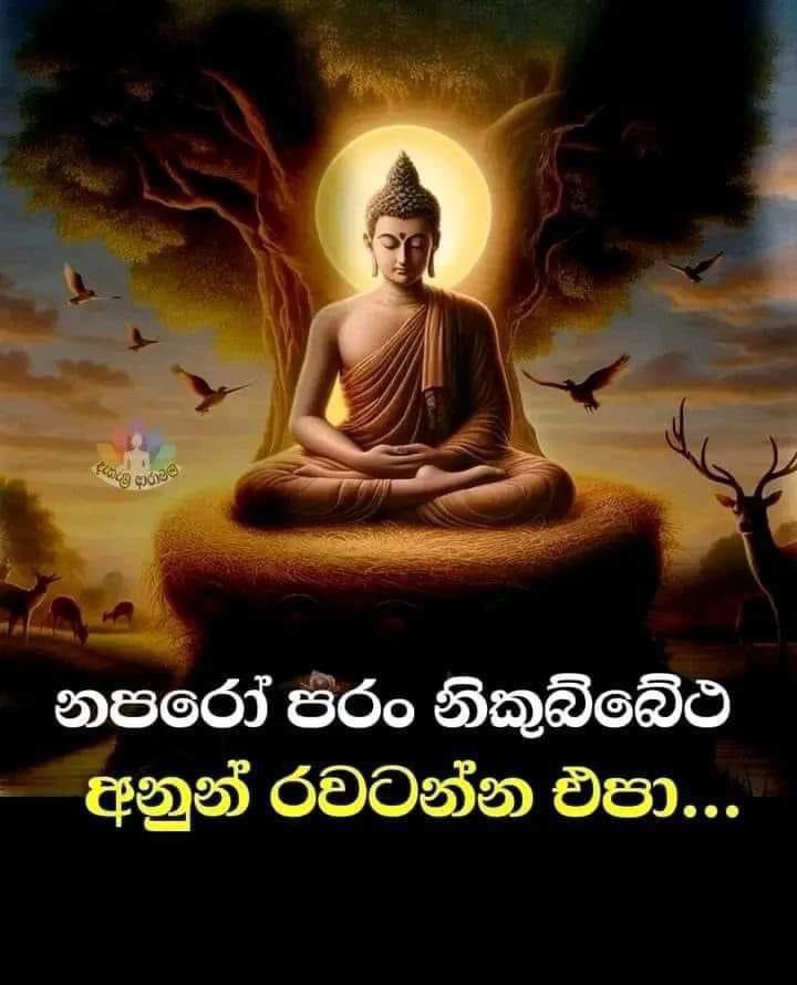 Revsirinanda's tweet photo. https://t.co/iq9ToXp2K5