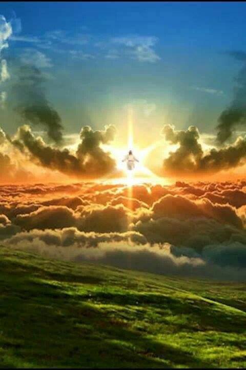 RobStultz's tweet image. ✟
“So God created man in his own image, in the image of God created he him; male and female created he them.”
Genesis 1:27 (KJV)