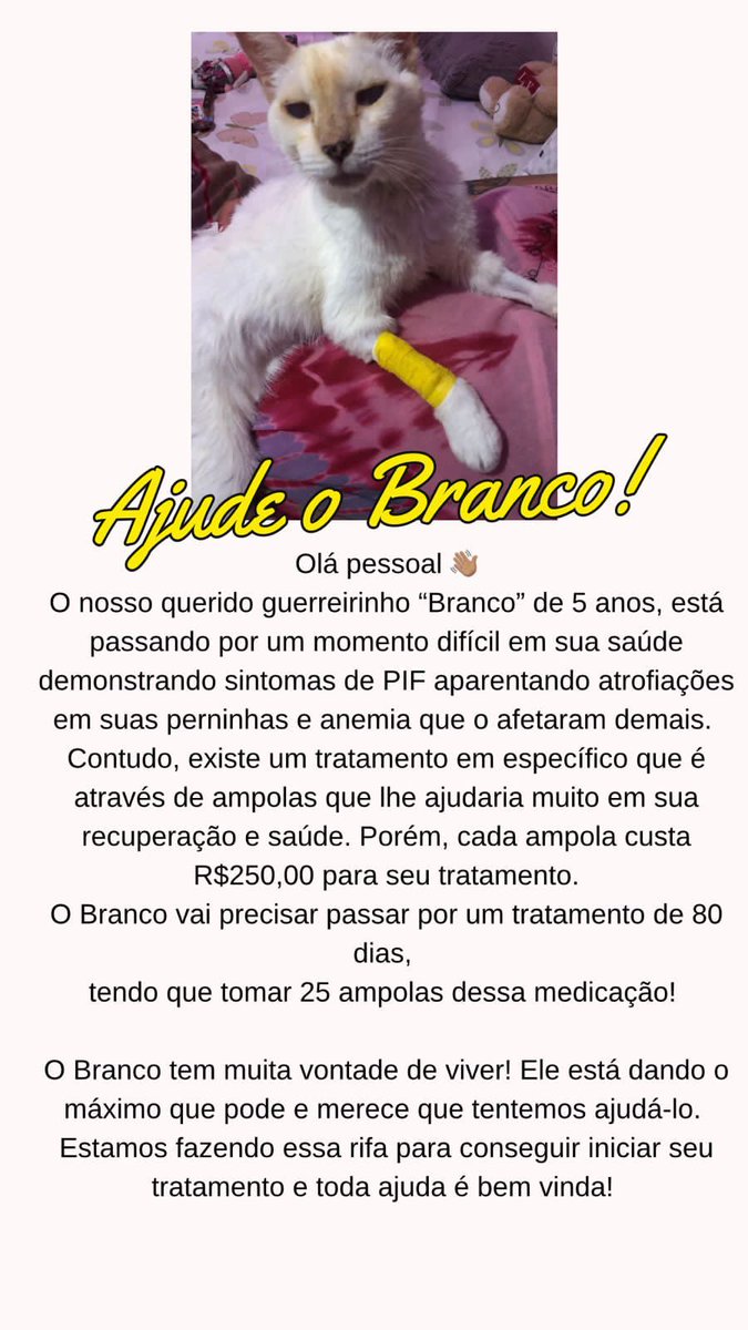 RhodrygoC's tweet photo. Atenção 🚨

Gostaria muito que todos vcs q sabem da minha luta pelos animais 

Me ajudem a salvar a vida do Branco 
Minha amiga é a dona e ela está completamente devastada com mais essa provação

Ela é o tipo de pessoa que só faz o bem e a vida ultimamente não tem sido recíproca https://t.co/cShQr3hHNV